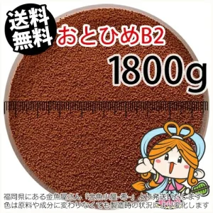 沈降性 日清丸紅飼料おとひめB2(0.36~0.62mm)1800g