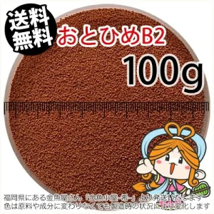 沈降性 日清丸紅飼料おとひめB2(0.36~0.62mm)100g