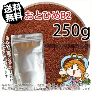 沈降性 日清丸紅飼料おとひめB2(0.36~0.62mm)250アルミ