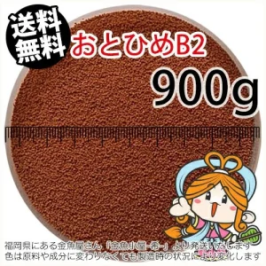 沈降性 日清丸紅飼料おとひめB2(0.36~0.62mm)900g